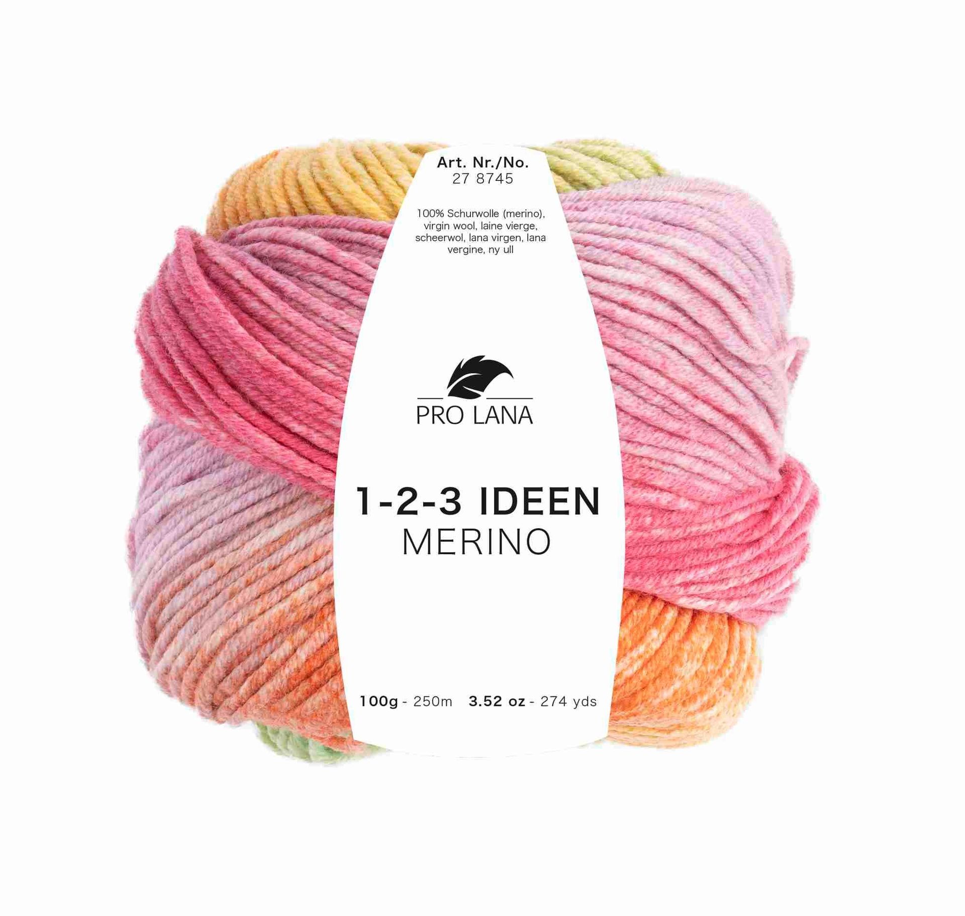 PRO LANA-PRO LANA 1-2-3 Ideen Merino, 100% Schurwolle (Merino)_27-874501_