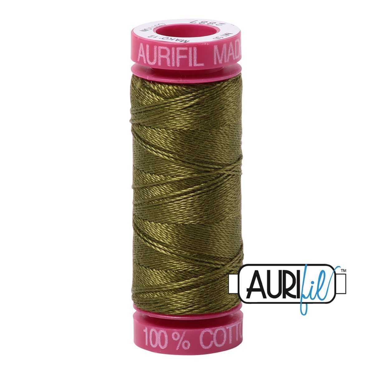 2887 Very Dark Olive
