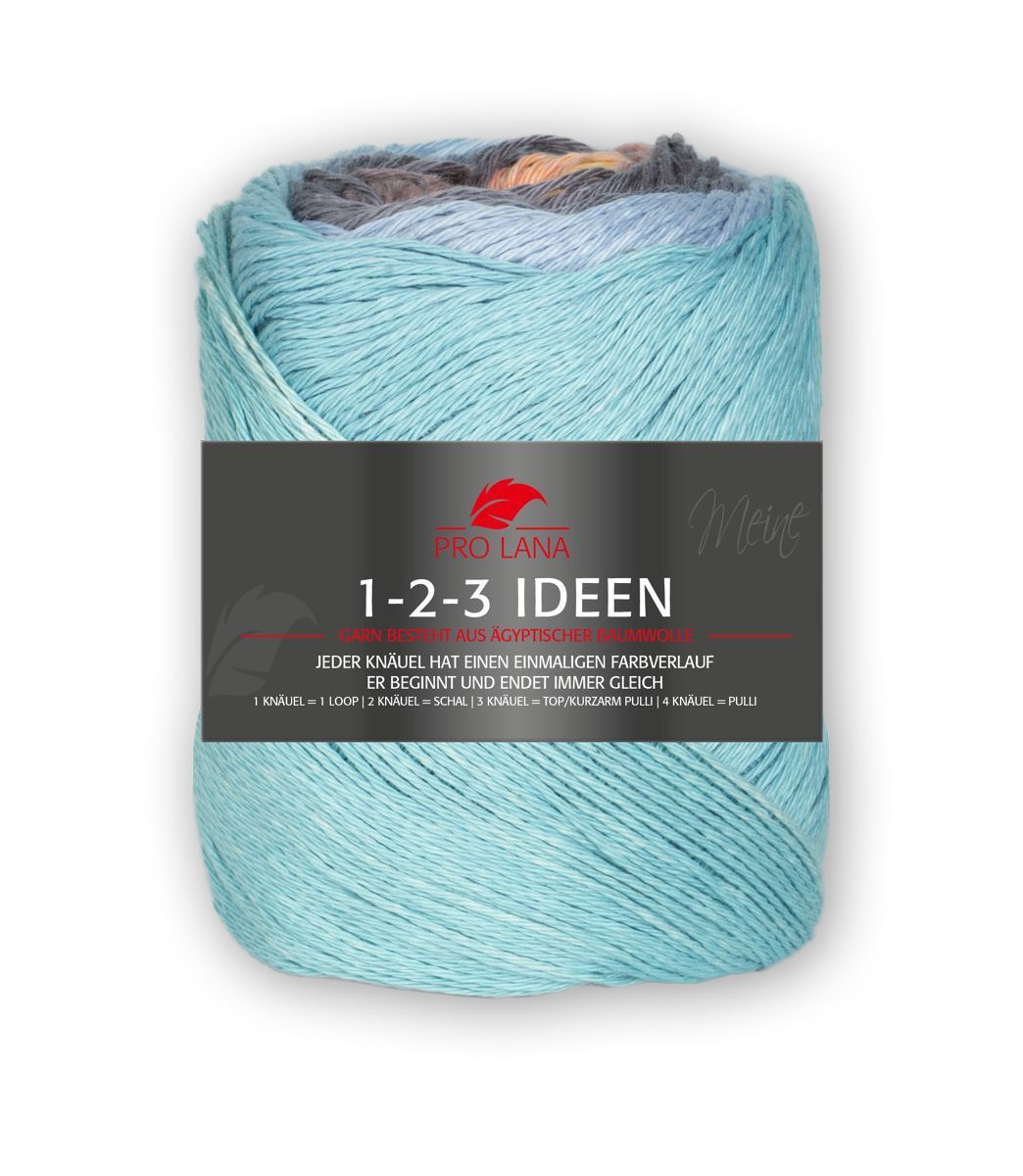 PRO LANA-PRO LANA 1-2-3 Ideen, 100% Baumwolle _27-84410_