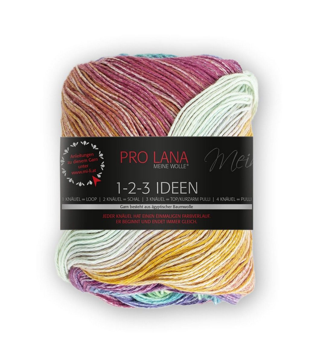PRO LANA-PRO LANA 1-2-3 Ideen, 100% Baumwolle _27-8441007_