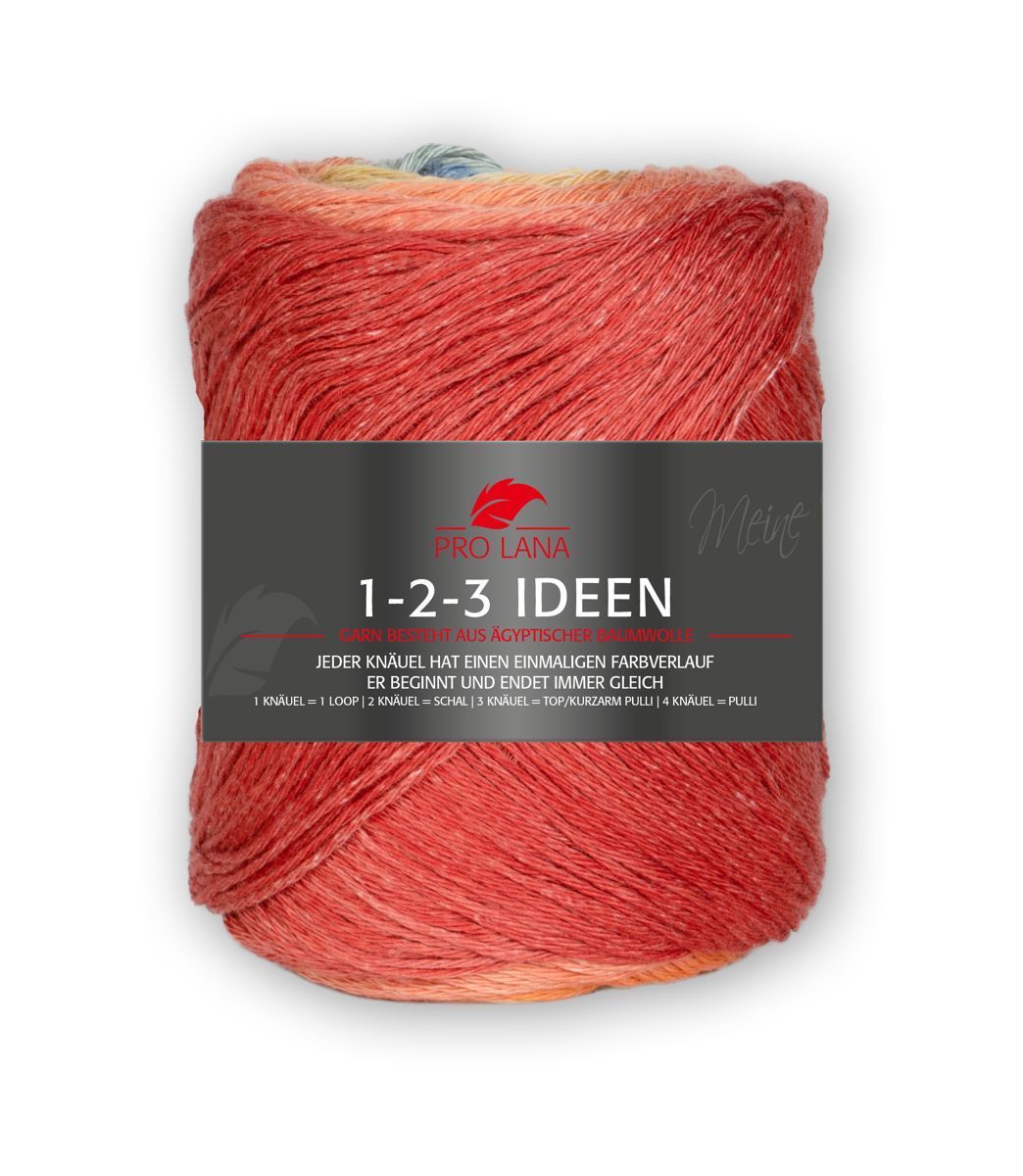 PRO LANA-PRO LANA 1-2-3 Ideen, 100% Baumwolle _27-8441018_