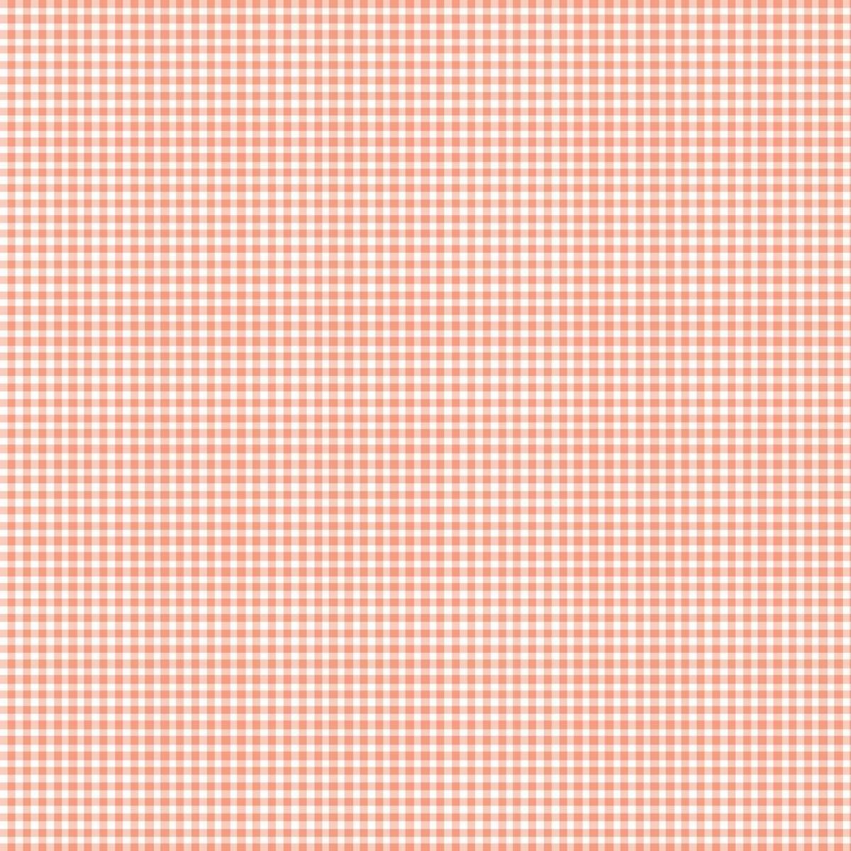 Baumwoll-Popelin kariert 100% Baumwolle Orange, 144 cm breit
