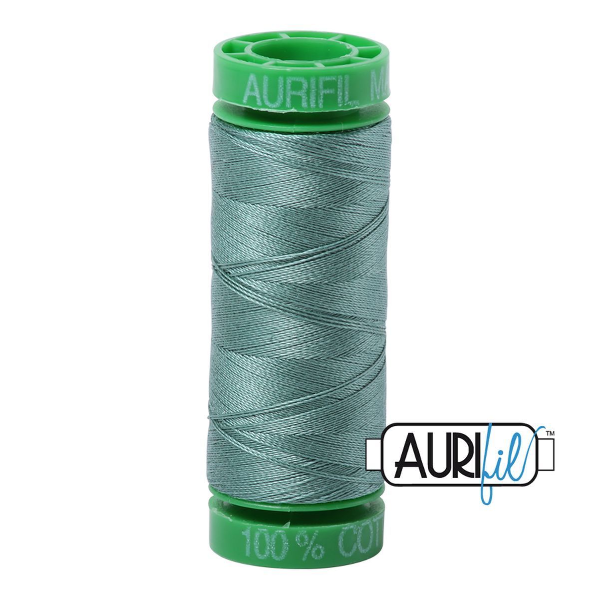 2850 Medium Juniper