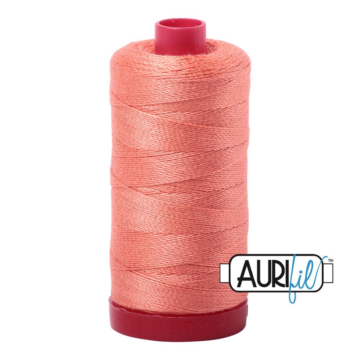 2220 Light Salmon
