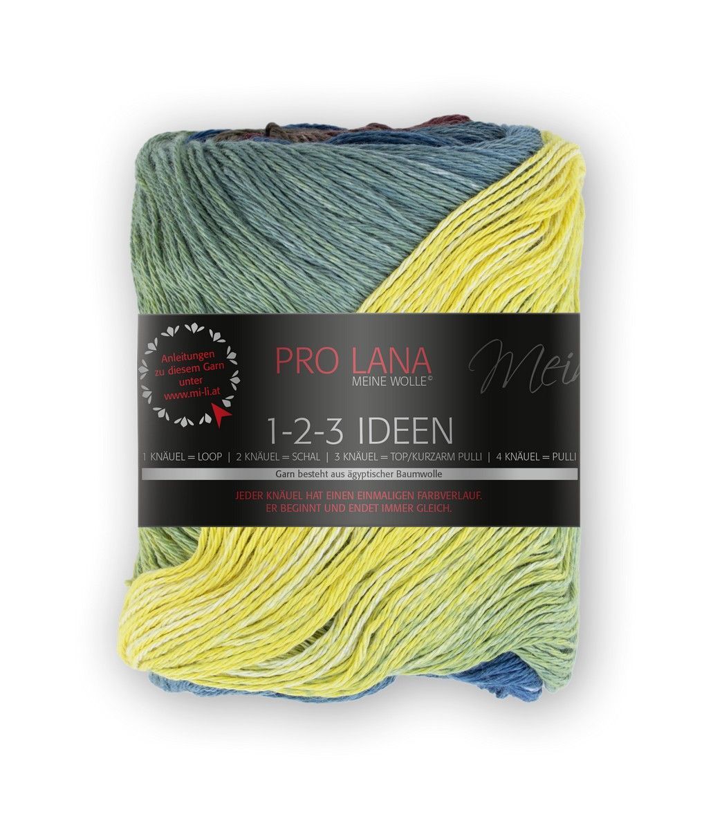 PRO LANA-PRO LANA 1-2-3 Ideen, 100% Baumwolle _27-8441013_