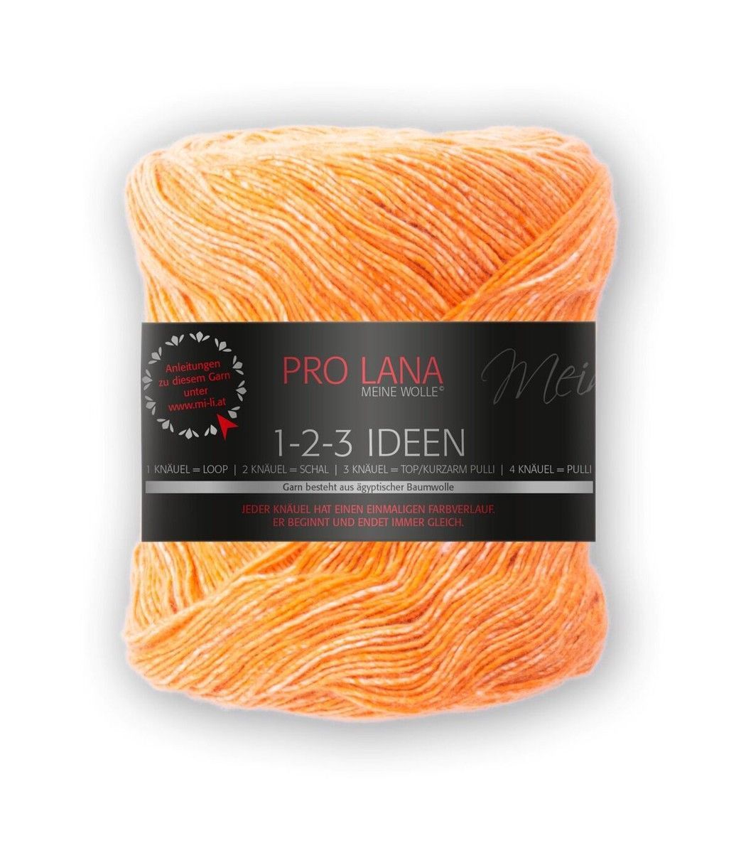 PRO LANA-PRO LANA 1-2-3 Ideen, 100% Baumwolle _27-8441003_