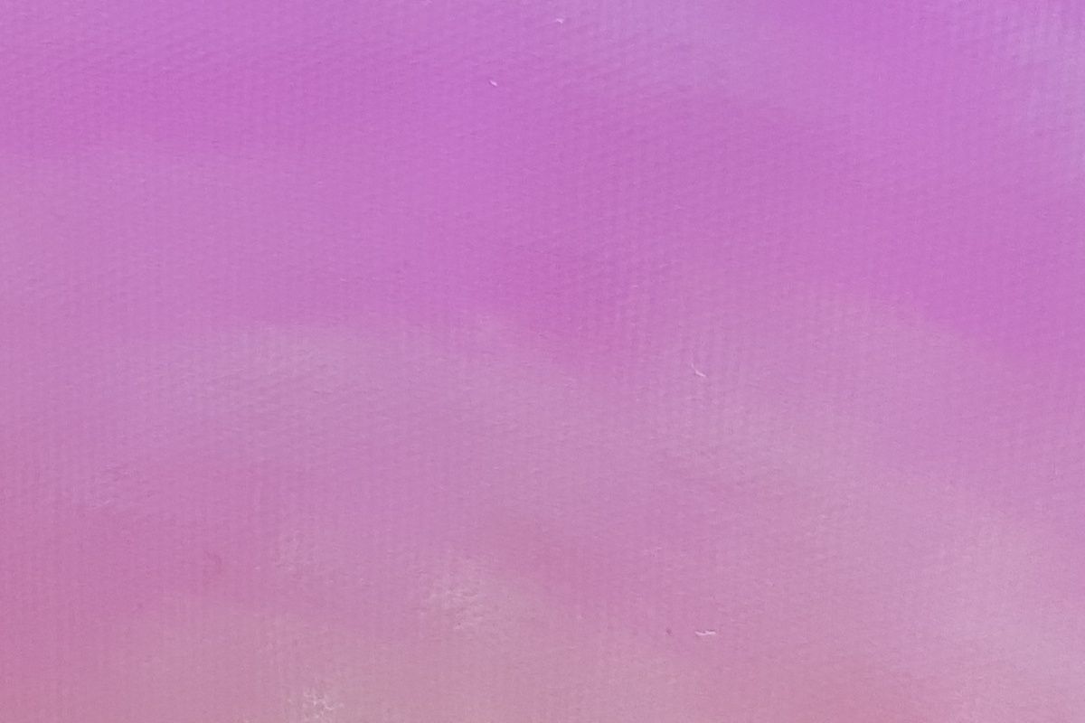 Chameleon pink